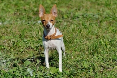 12af_64546489575 12af_64546489575