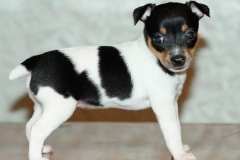 15af_64546489575 15af_64546489575