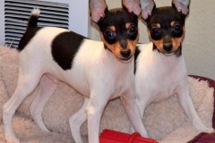 16af_64546489575 16af_64546489575