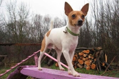 17af_64546489575 17af_64546489575