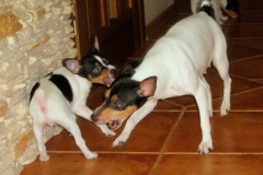 20af_64546489575 20af_64546489575