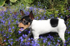 21af_64546489575 21af_64546489575