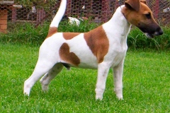 23af_64546489575 23af_64546489575