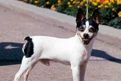 5af_64546489575 5af_64546489575