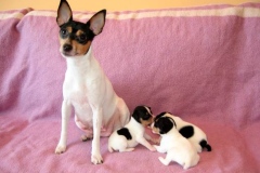 6af_64546489575 6af_64546489575