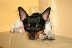 7af_64546489575 7af_64546489575