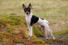 8af_64546489575 8af_64546489575