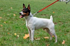 9af_64546489575 9af_64546489575