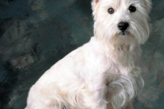 wait_terrier_014