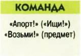 Как научить щенка команде апорт