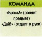 Команда дай