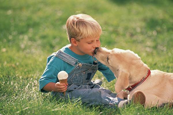 кормим собаку и общаемся