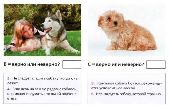 ласка собаке