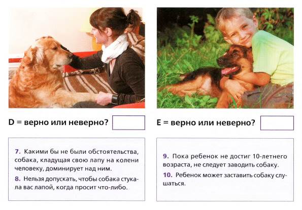 общение с собакой