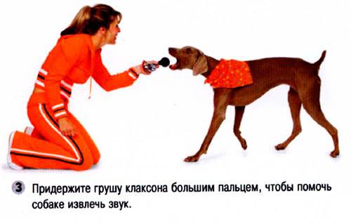 команда собаке дудеть