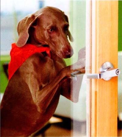 команда закрой дверь