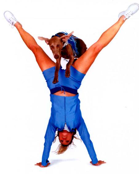 стойка на руках с собакой