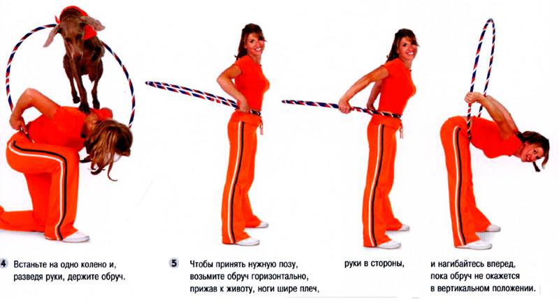 прыжки собаки на спину