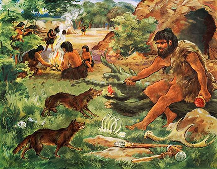 собака помогает