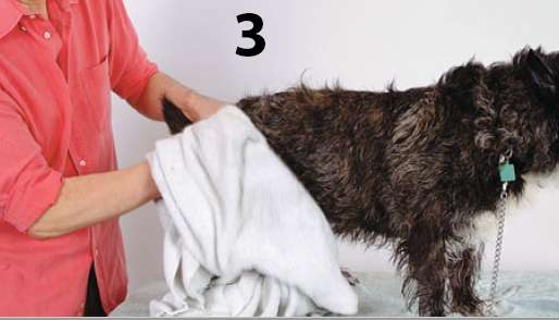 после мытья