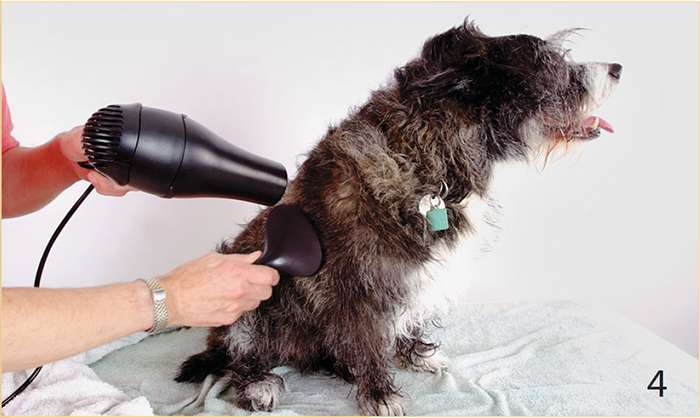 сушка феном